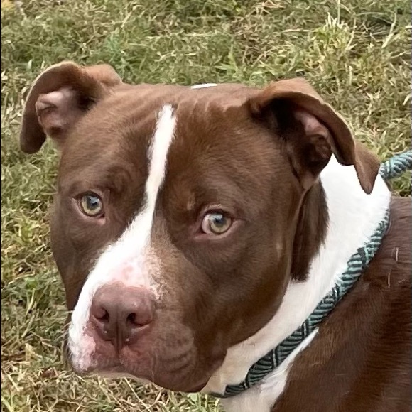 Meet your Posher, Lane - Picture 2 of 3